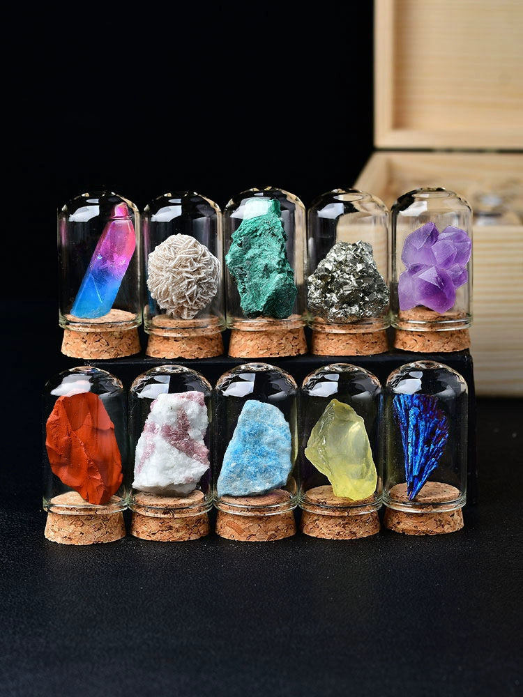 Natural Crystal Variety Color Specimen Set Box Rough Stone